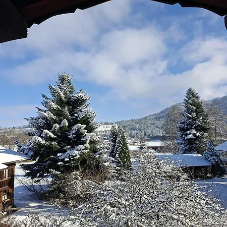 Апартаменты Dachzeit Пфронтен