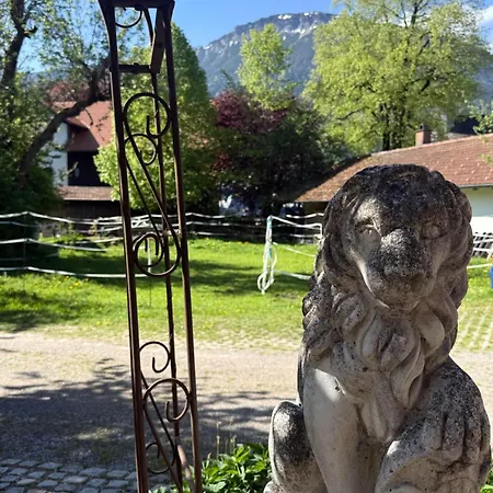 Dachzeit *