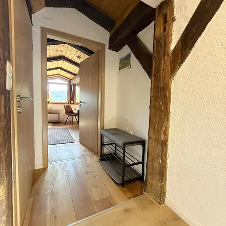 Dachzeit
