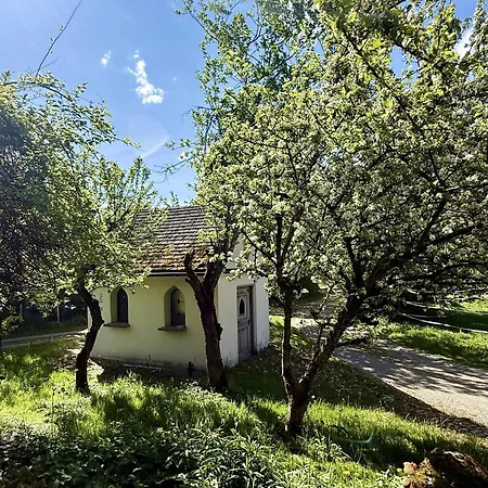 Appartement Dachzeit Pfronten